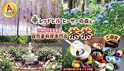 ツアーイメージ