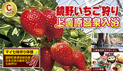 ツアーイメージ