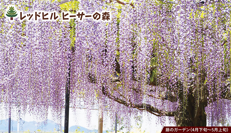 ツアーイメージ