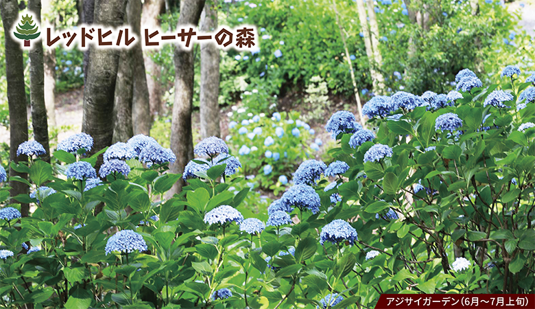 ツアーイメージ