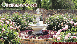 ツアーイメージ