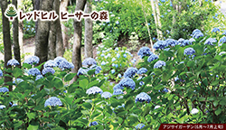 ツアーイメージ