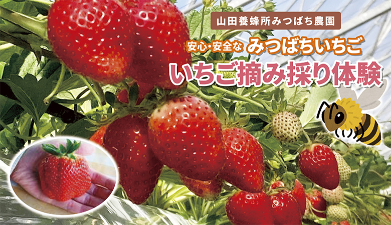 ツアーイメージ