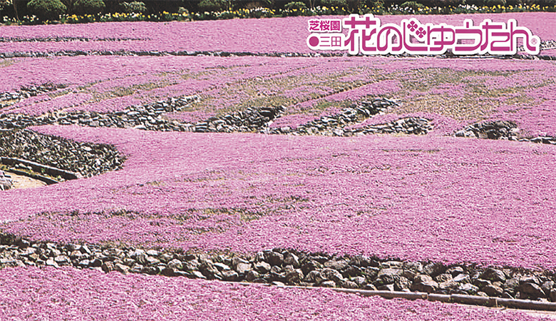 ツアーイメージ