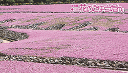 ツアーイメージ