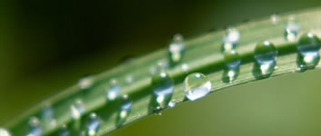 ���₢���킹