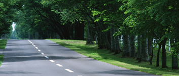 �l���ɂ���